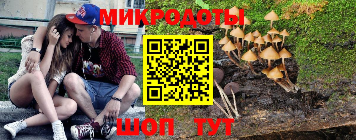 Псилоцибиновые грибы Psilocybe  Вход с VPN  Егорьевск 